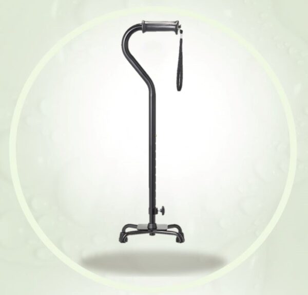 gehstock quadro